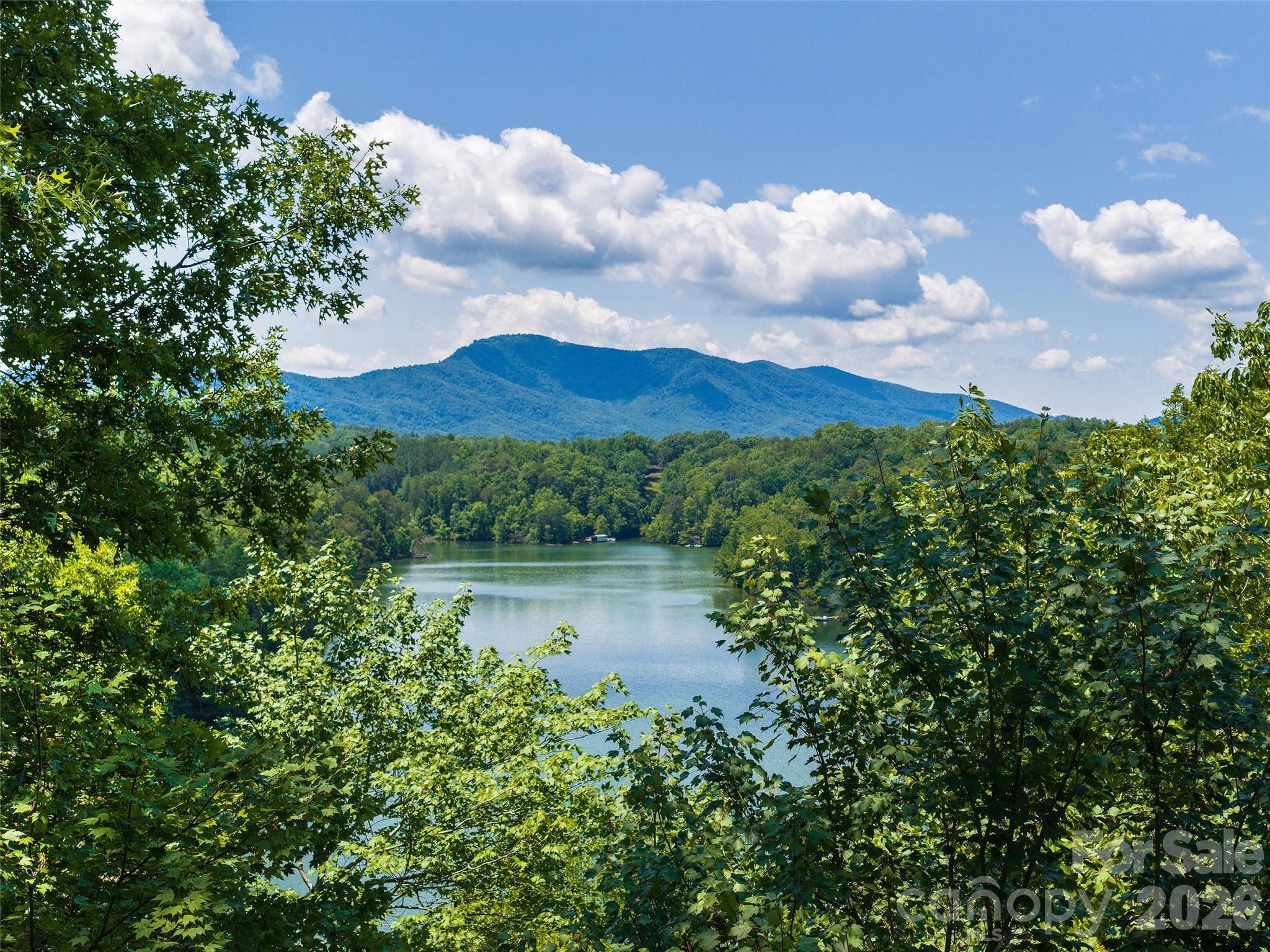 Lot at Mill Spring, photo 2 of 13