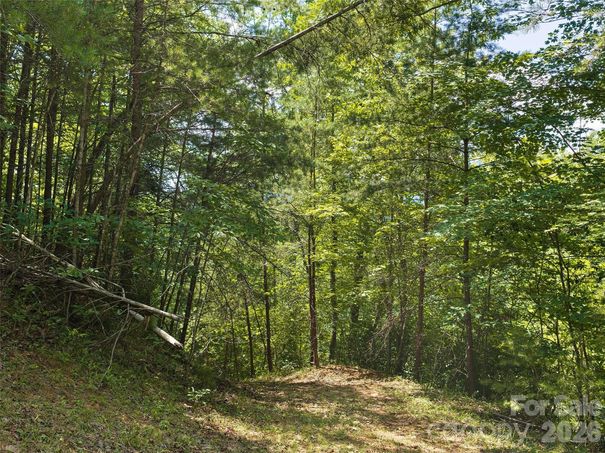 Lot at Mill Spring, photo 3 of 13