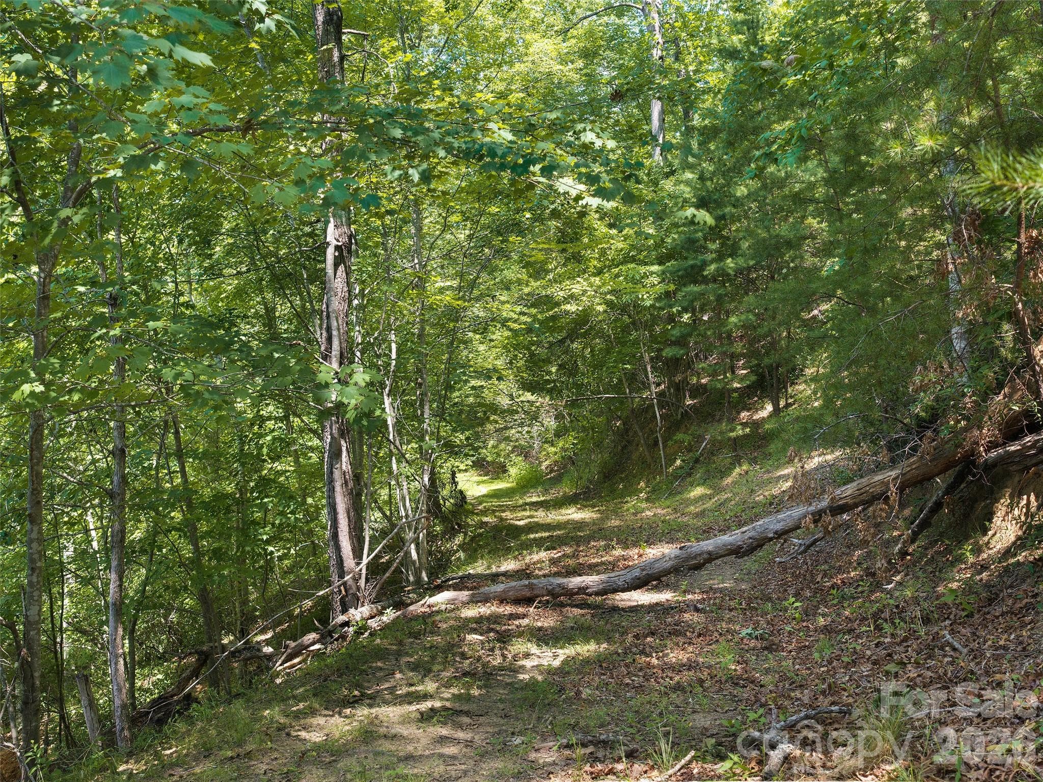 Lot at Mill Spring, photo 4 of 13
