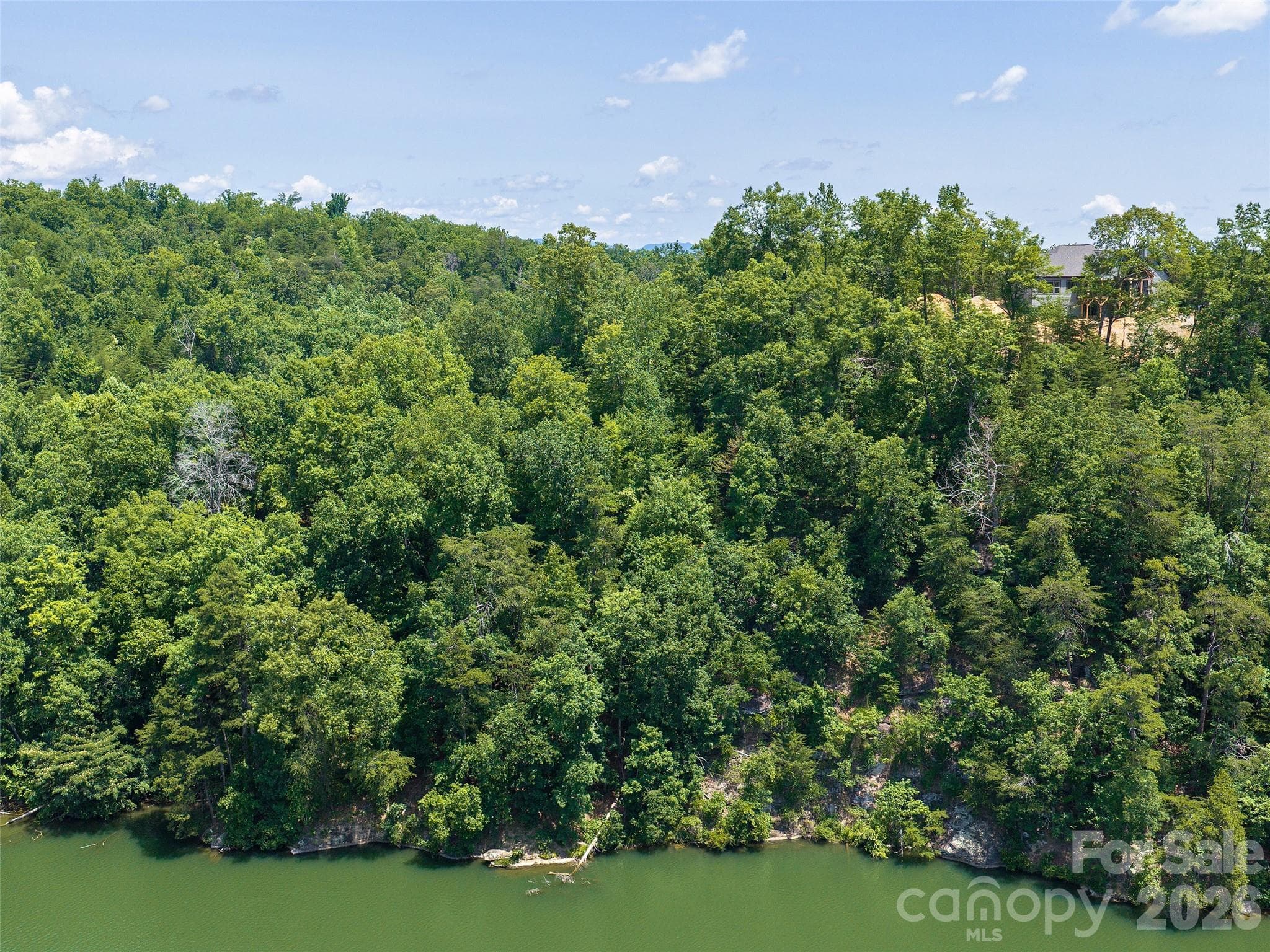 Lot at Mill Spring, photo 6 of 13