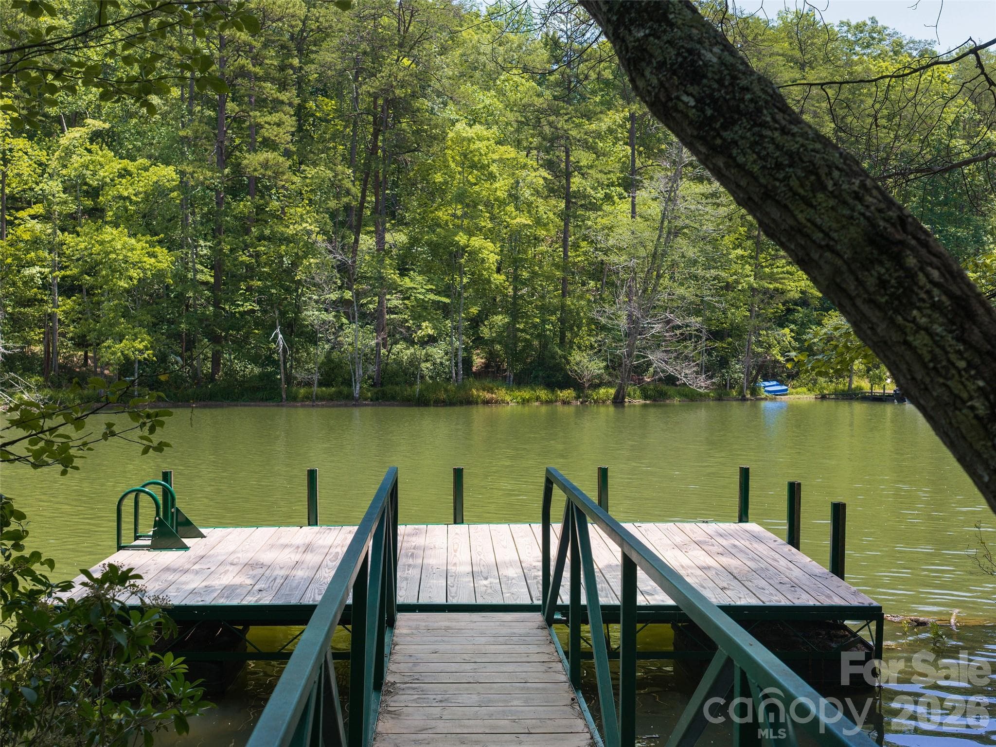 Lot at Mill Spring, photo 3 of 14
