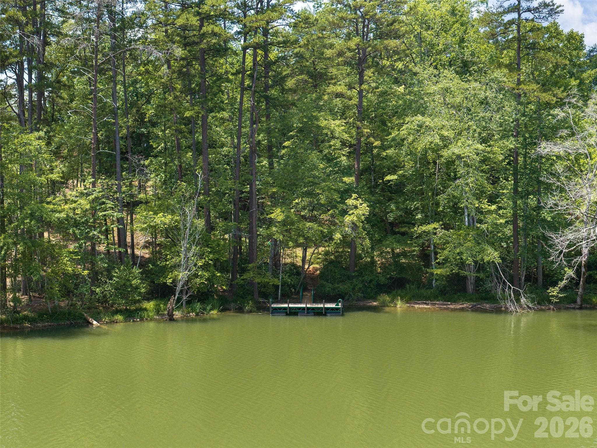 Lot at Mill Spring, photo 4 of 14