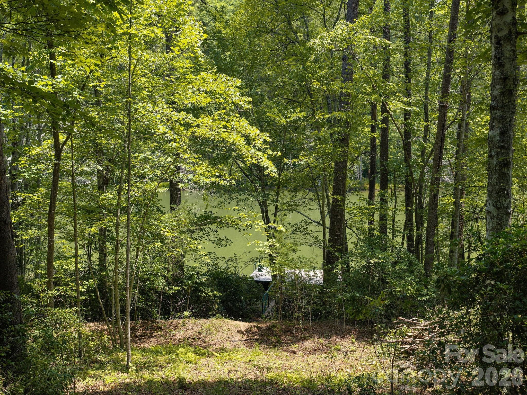 Lot at Lot 14 Parkway North Road, Mill Spring, photo 7 of 14