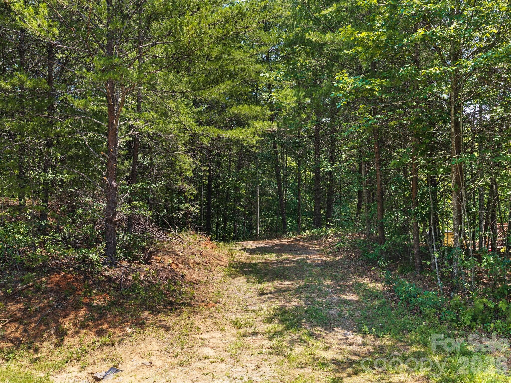 Lot at Lot 14 Parkway North Road, Mill Spring, photo 12 of 14