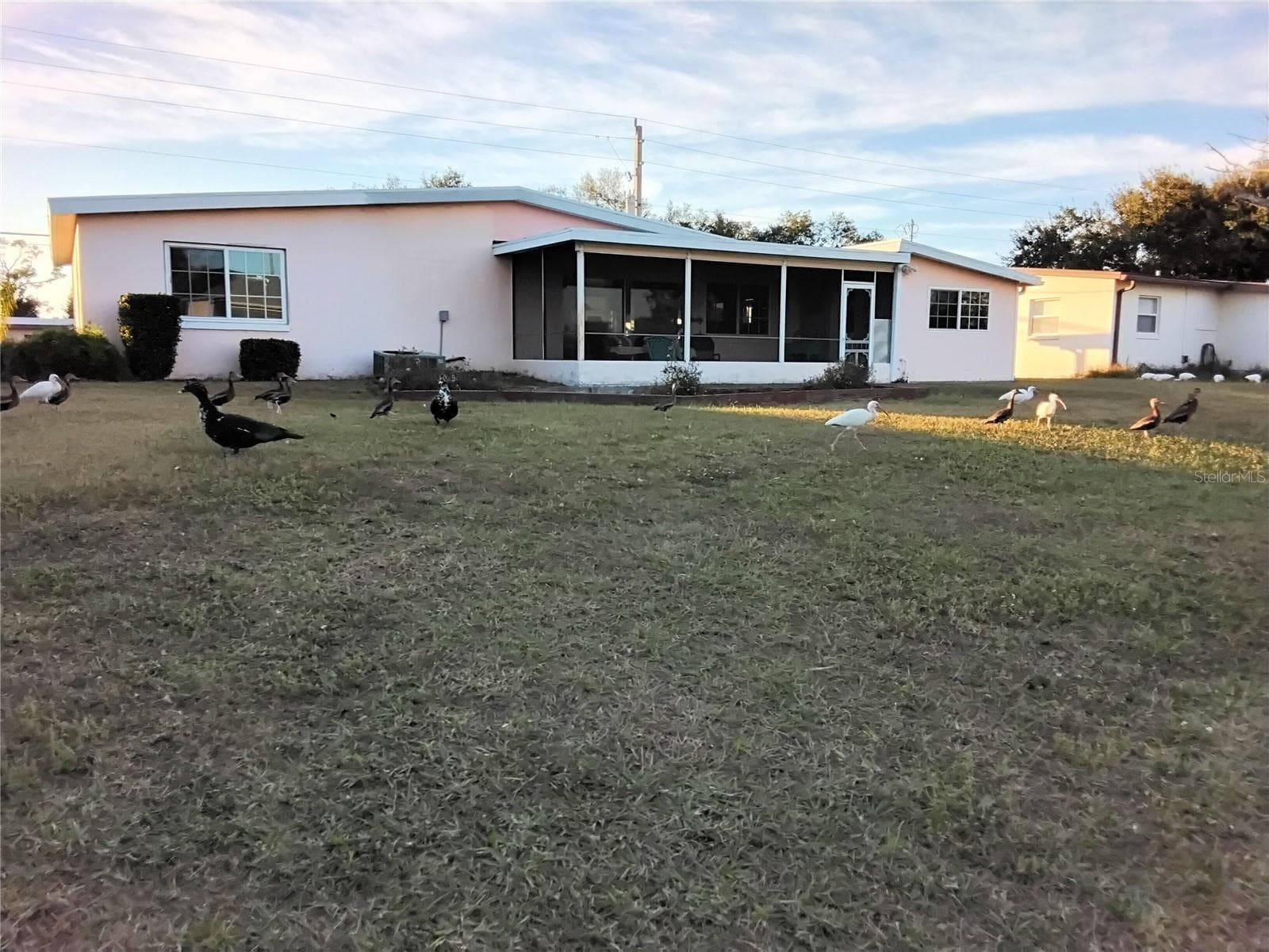 Back of house - 2440 ELKCAM BLVD, PORT CHARLOTTE
