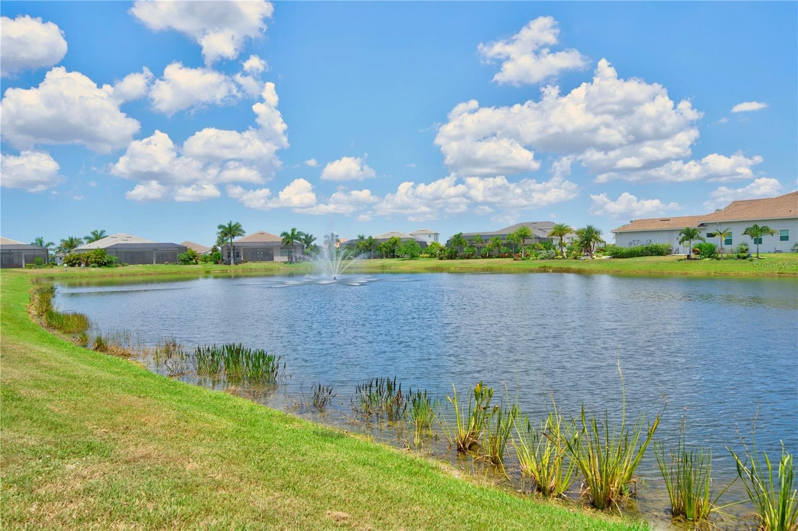 Rear Lake Views - 8154 REDONDA LOOP, LAKEWOOD RANCH