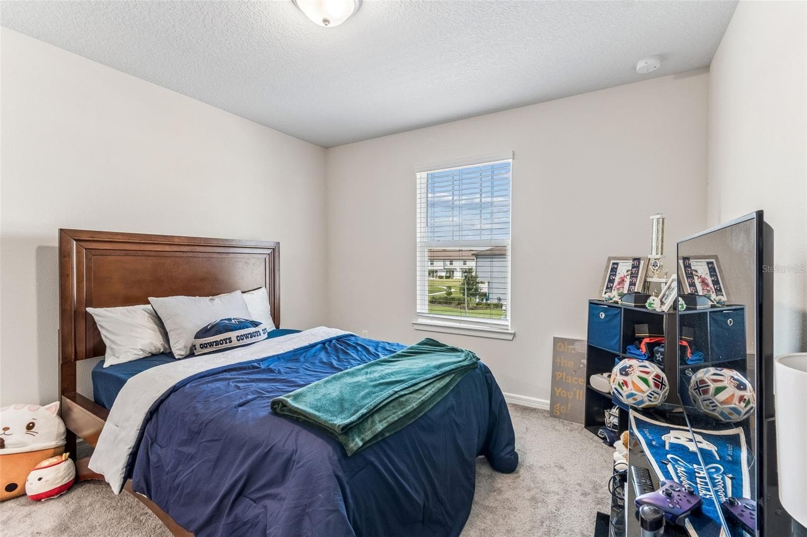 Townhouse at 31357 AMBERVIEW BND, WESLEY CHAPEL, photo 20 of 65