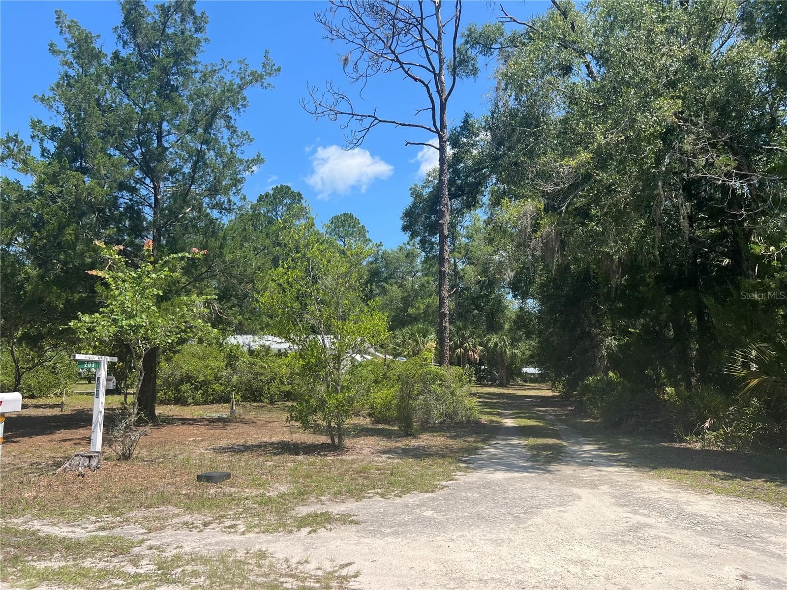 Single Family Residence at 203 SE 45 AVE, CROSS CITY, photo 23 of 48