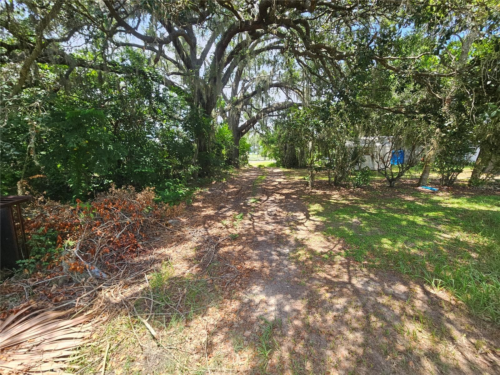 Rear 15' wide alley view - 0 DELMAR ST, DADE CITY