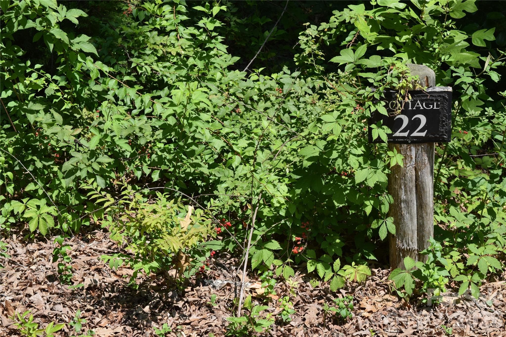 Lot 22 in June 2026 - 22 River Club Drive, Cullowhee