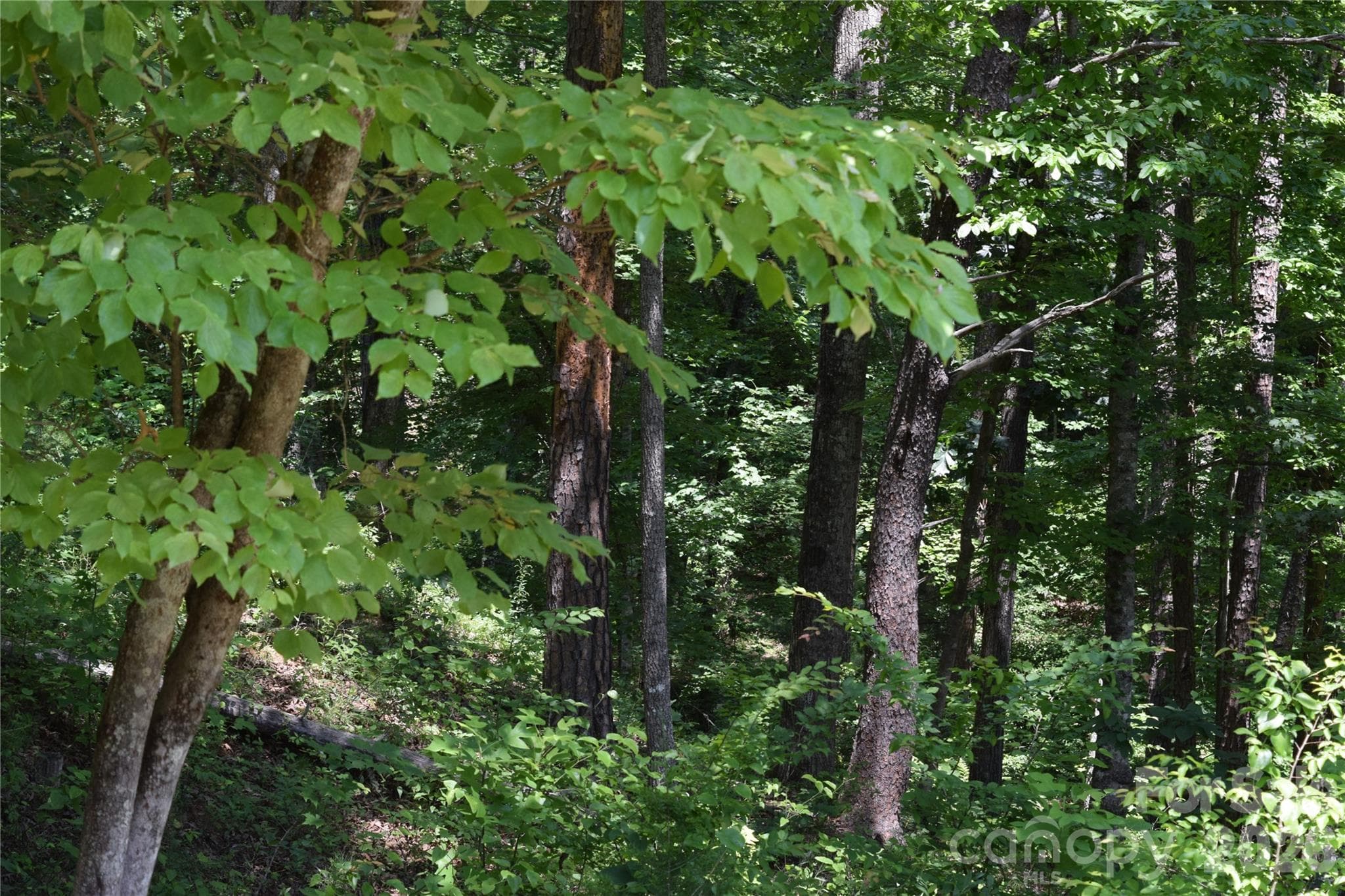 Lot 22 in June 2026 - 22 River Club Drive, Cullowhee