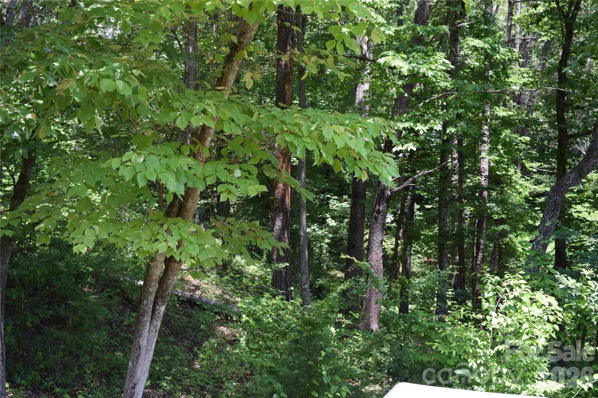 Lot 22 in June 2026 - 22 River Club Drive, Cullowhee