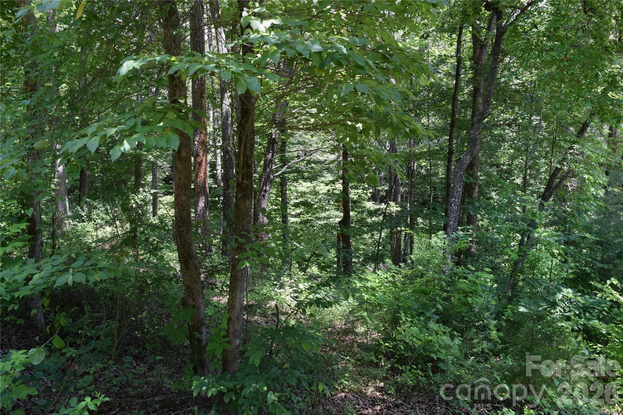 Lot 22 in June 2026 - 22 River Club Drive, Cullowhee
