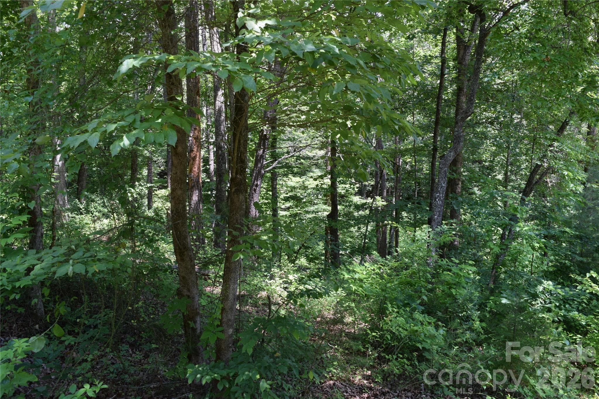 Lot 22 in June 2026 - 22 River Club Drive, Cullowhee
