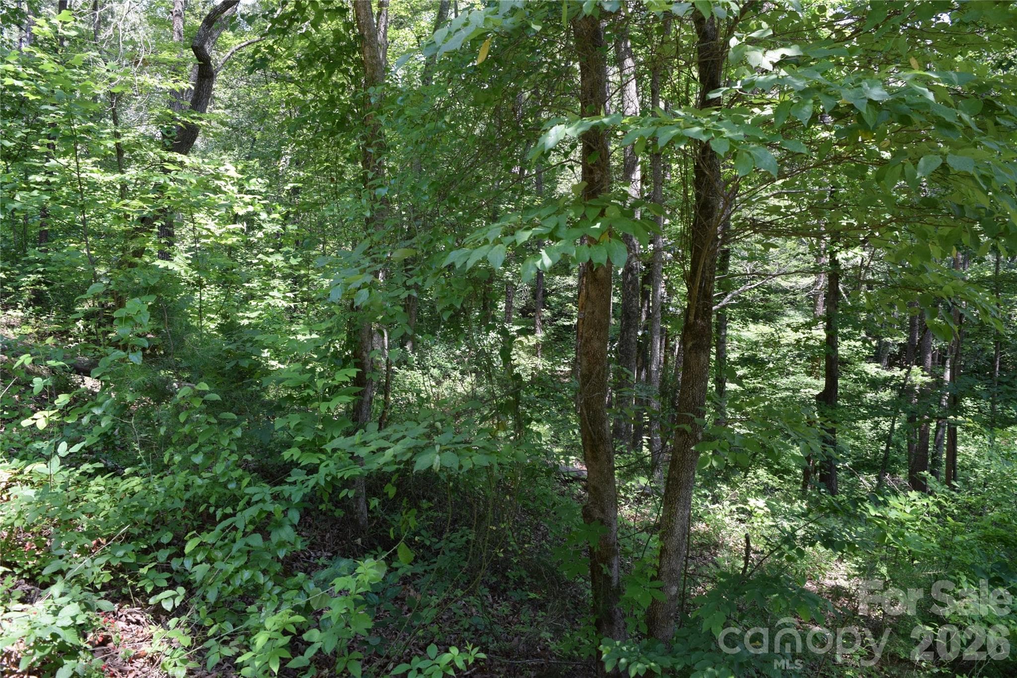 Lot 22 in June 2026 - 22 River Club Drive, Cullowhee
