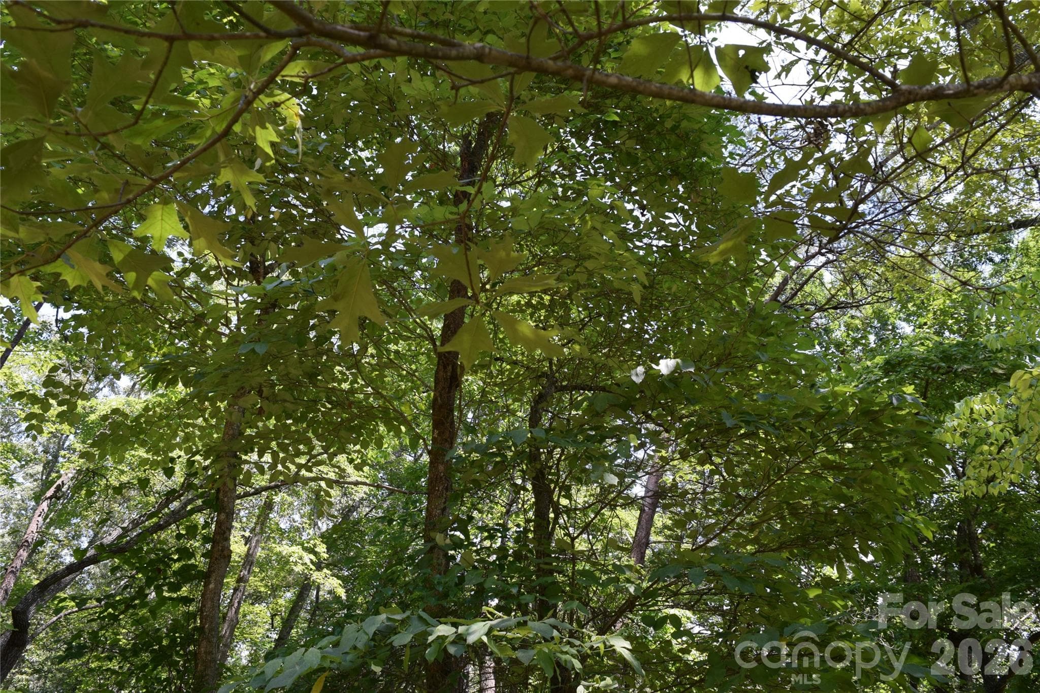 Lot 22 in June 2026 - 22 River Club Drive, Cullowhee