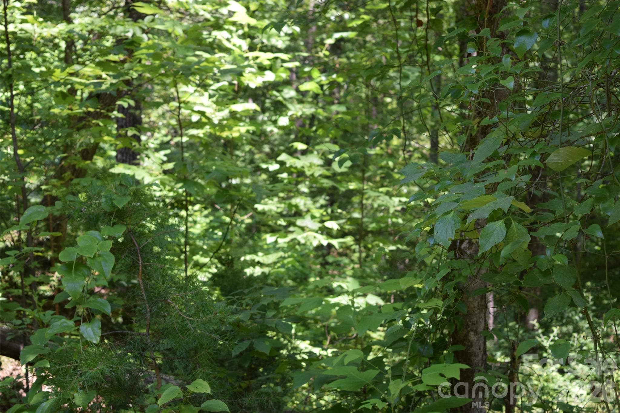 Lot 22 in June 2026 - 22 River Club Drive, Cullowhee
