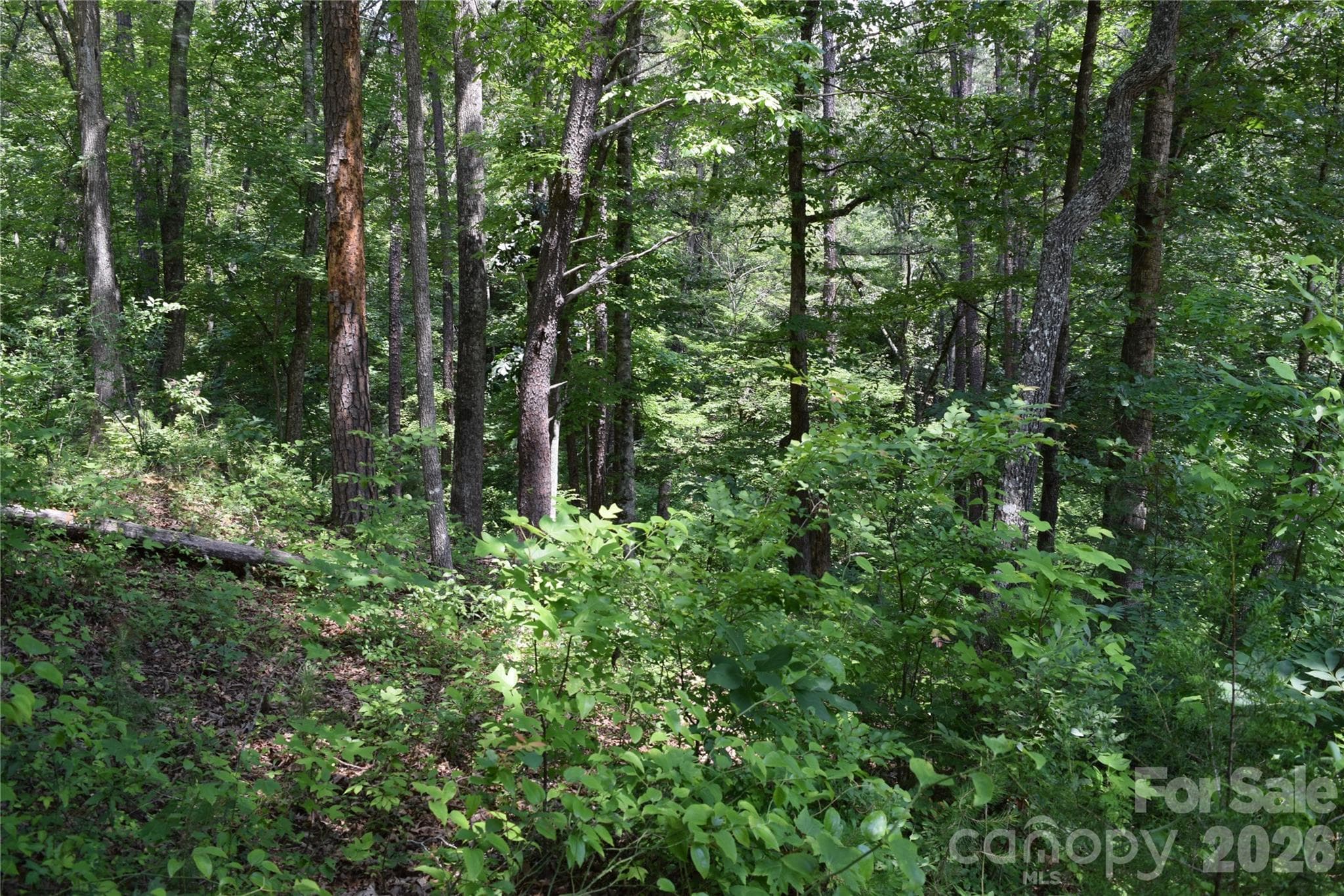 Lot 22 in June 2026 - 22 River Club Drive, Cullowhee