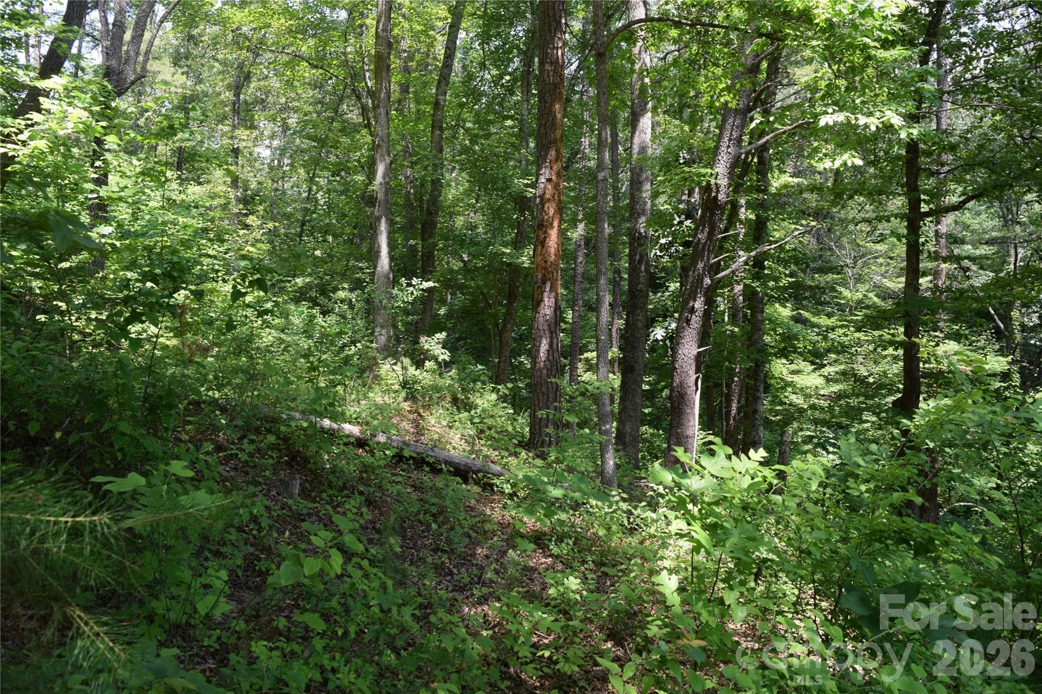 Lot 22 in June 2026 - 22 River Club Drive, Cullowhee