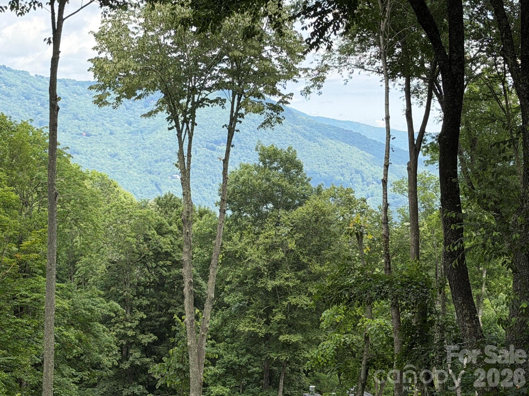 Lot 5 Gadohi Trail