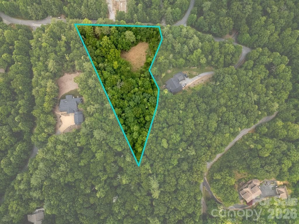 Lot at 1571 Eagle Lake Drive, Brevard, photo 3 of 21