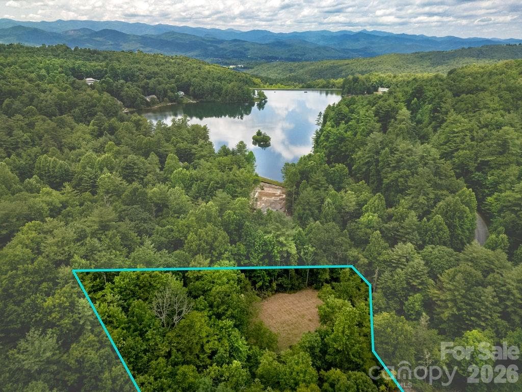 Lot at 1571 Eagle Lake Drive, Brevard, photo 4 of 21