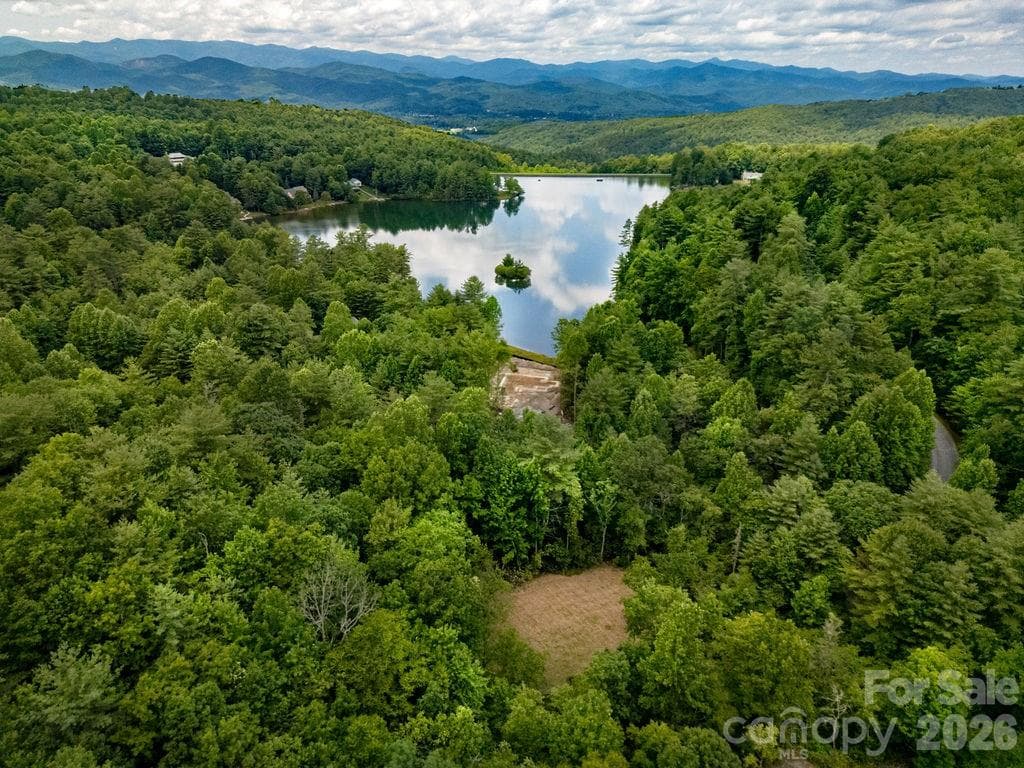 Lot at 1571 Eagle Lake Drive, Brevard, photo 8 of 21