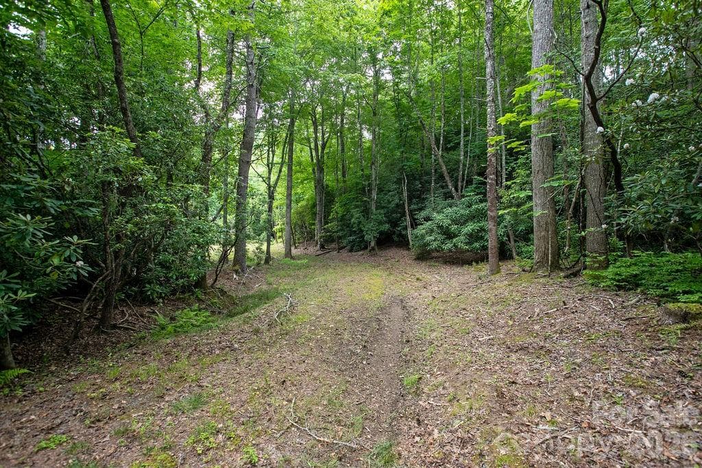 Lot at 1571 Eagle Lake Drive, Brevard, photo 10 of 21