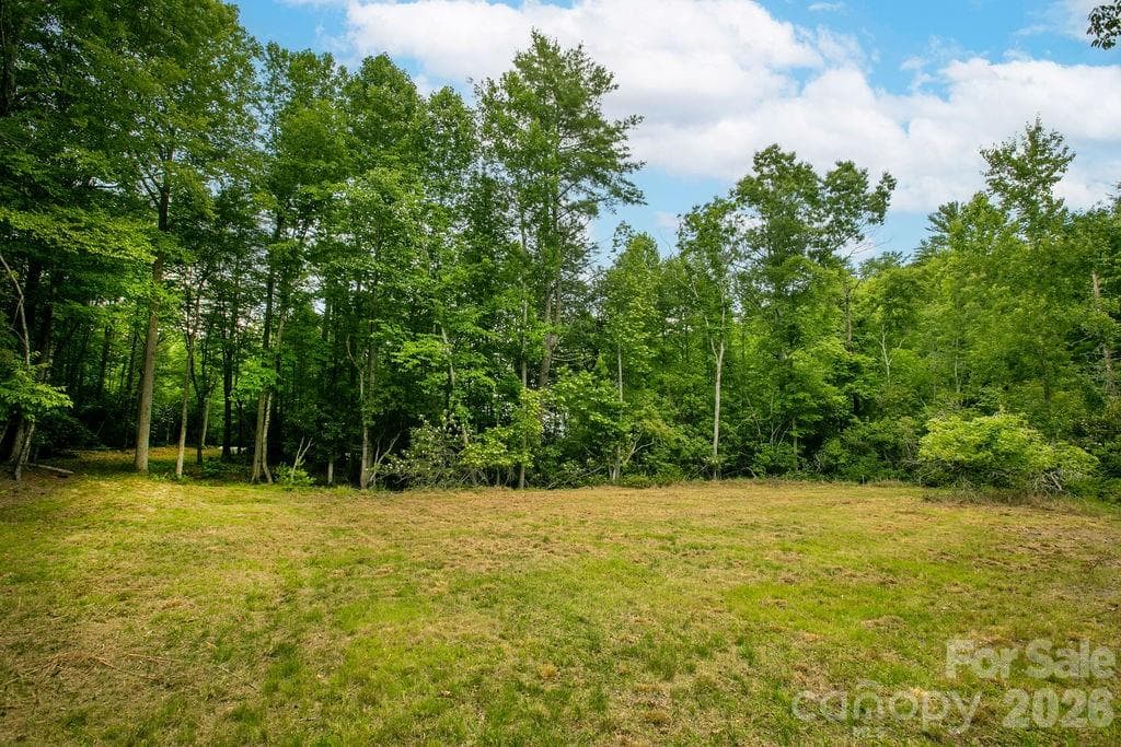 Lot at 1571 Eagle Lake Drive, Brevard, photo 11 of 21
