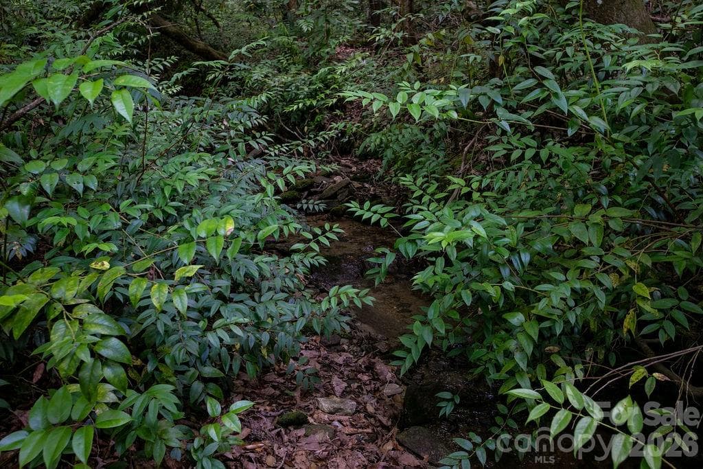 Lot at 1571 Eagle Lake Drive, Brevard, photo 13 of 21