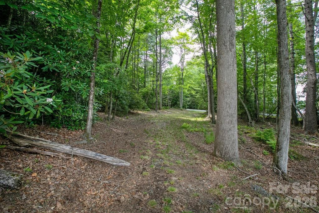 Lot at 1571 Eagle Lake Drive, Brevard, photo 20 of 21
