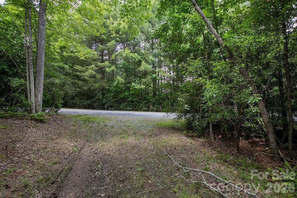 Lot at 1571 Eagle Lake Drive, Brevard, photo 21 of 21