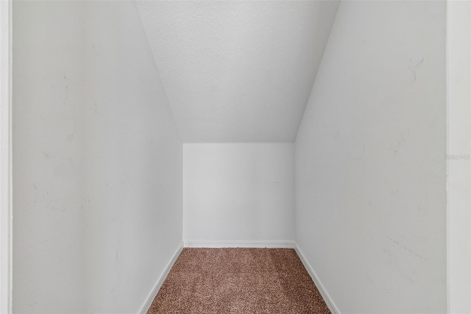 Storage under stairs - 3307 PINE TOP DR, VALRICO