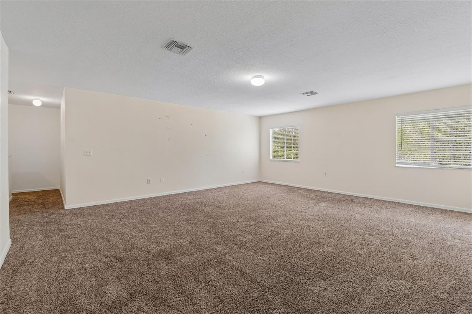Huge Bonus/Media Room - 3307 PINE TOP DR, VALRICO