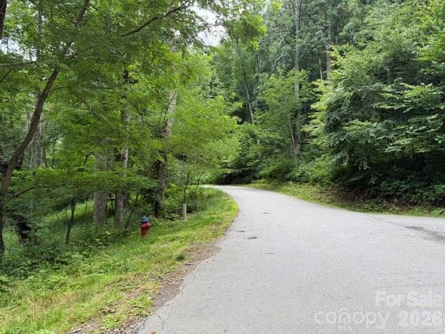 Lot at Maggie Valley, photo 2 of 37