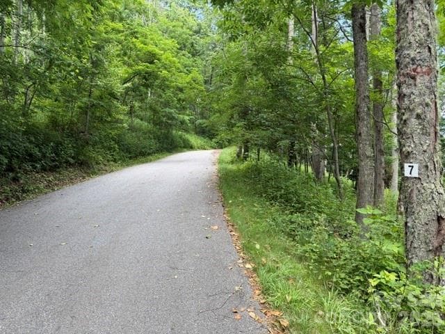 Lot at Lot 7 Gadohi Trail, Maggie Valley, photo 2 of 36