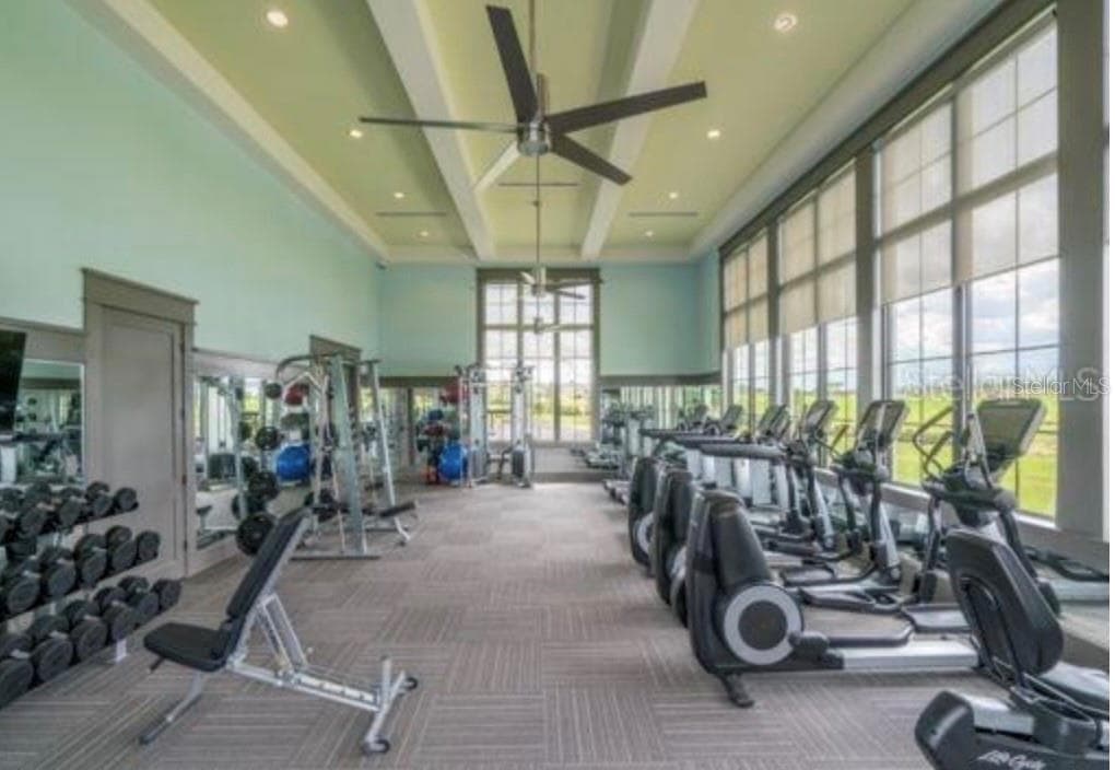 Clubhouse Gym - 15709 SHOREBIRD LN, WINTER GARDEN