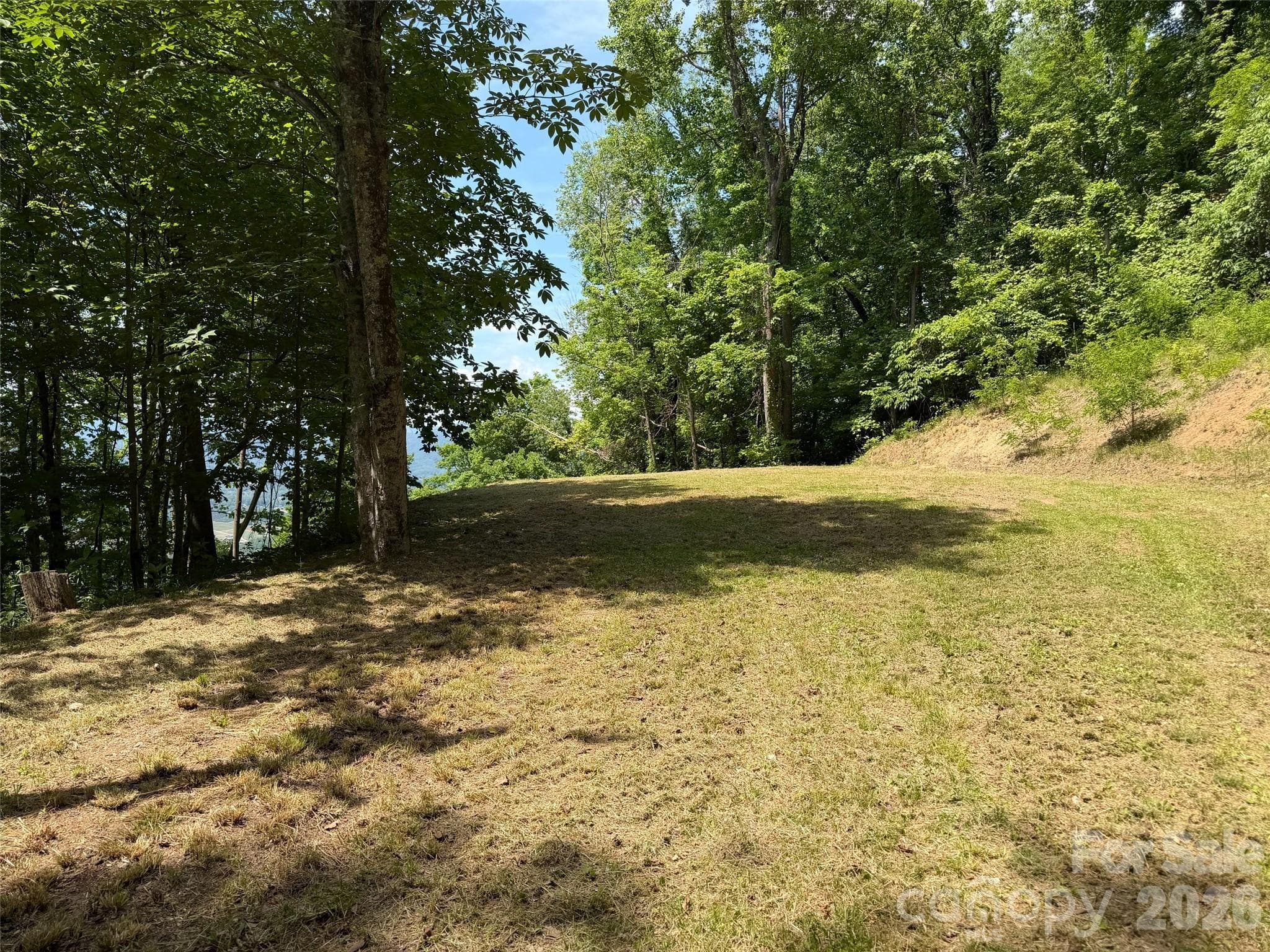 large, two-tier homesite area - Waynesville