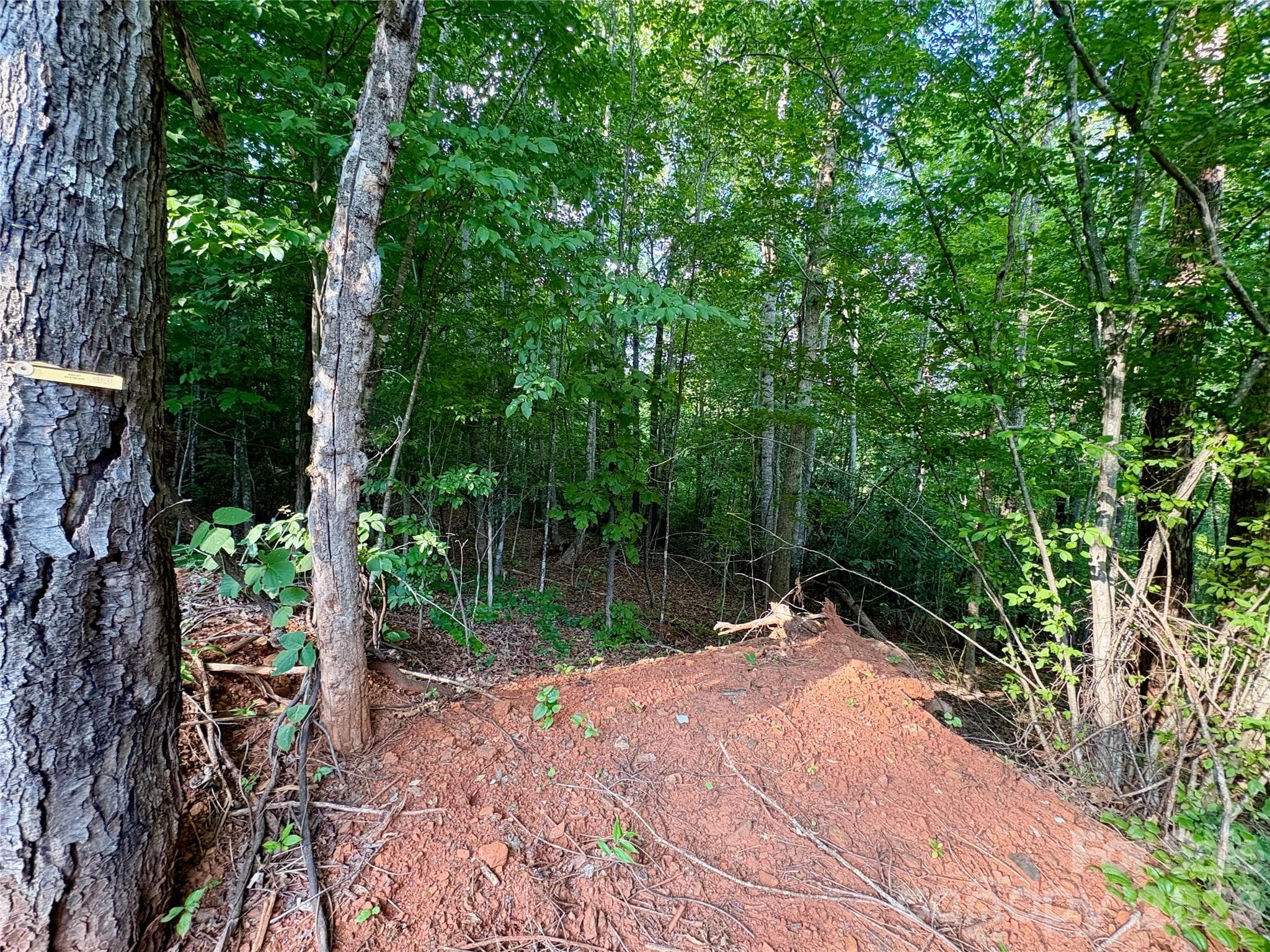 Lot at Lake Lure, photo 3 of 7