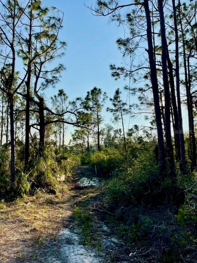 Land at 1215 HARBOUR BREEZE CT, PUNTA GORDA, photo 2 of 9