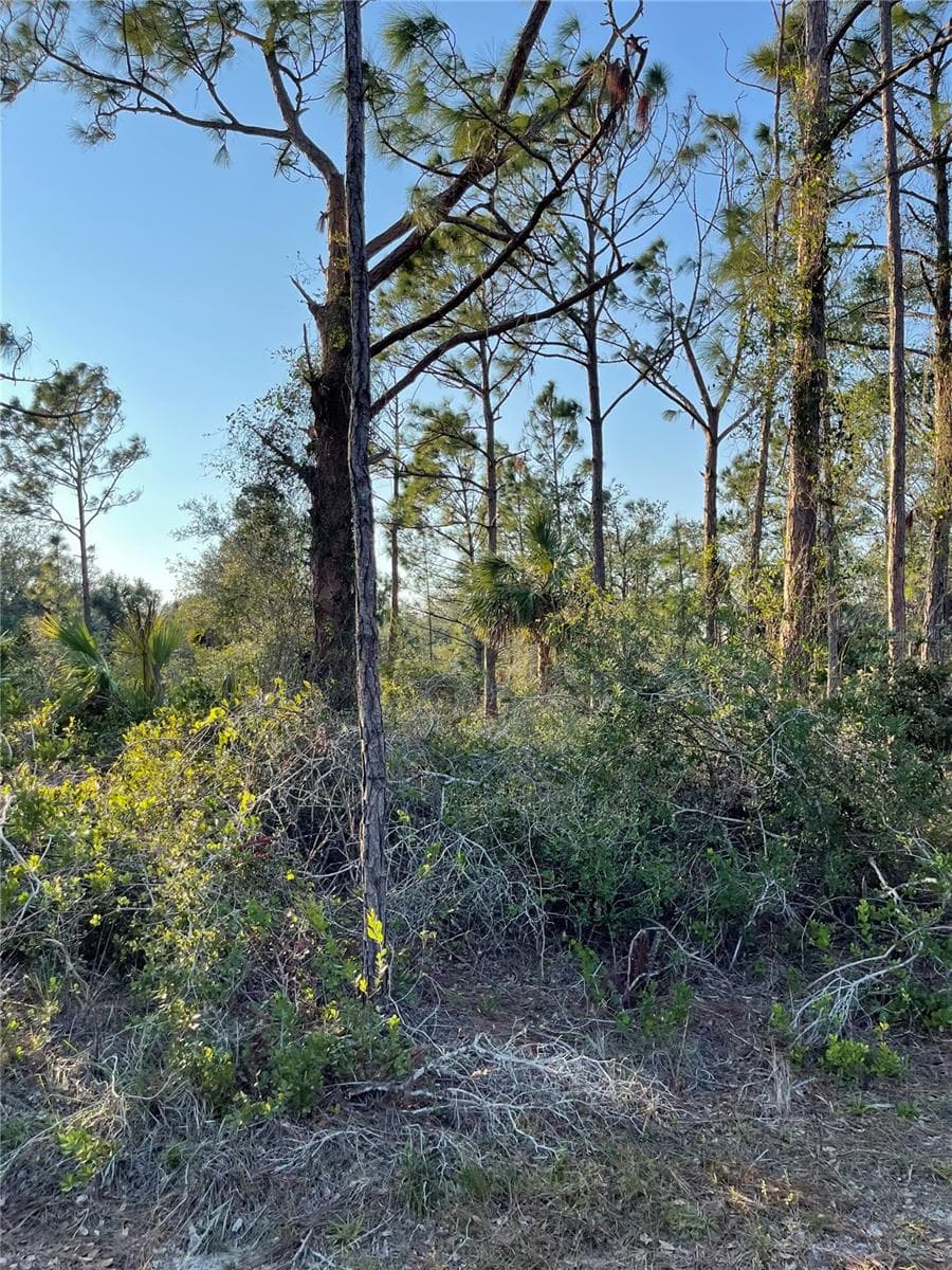 Land at 1215 HARBOUR BREEZE CT, PUNTA GORDA, photo 3 of 9