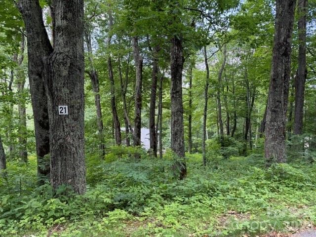 Lot 21 Odalu Trail