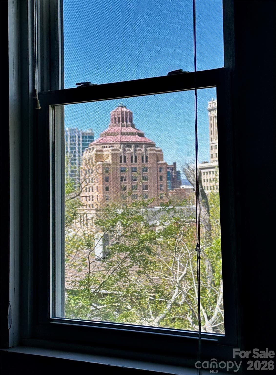 Looking out the window towards downtown - 23 Tuskeegee Street, Asheville