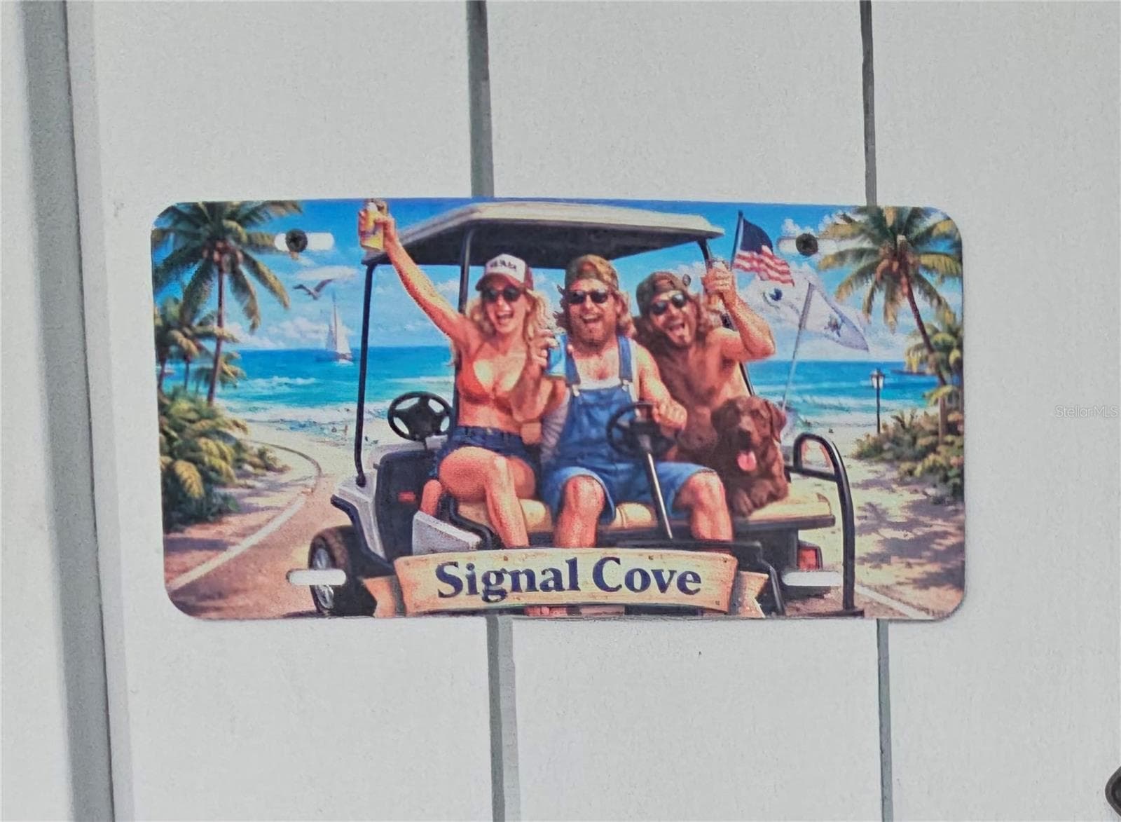 Signal Cove is also a active golf cart community! - 6629 TOWER DR, HUDSON