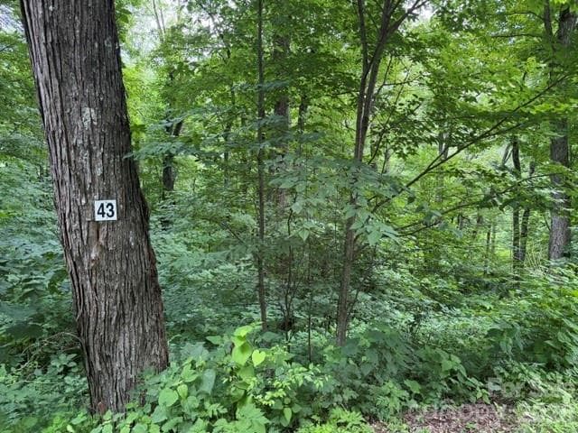 Lot 43 Gata Trail