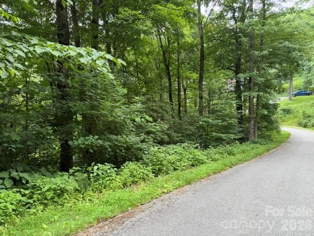 Lot at Lot 43 Gata Trail, Maggie Valley, photo 5 of 38