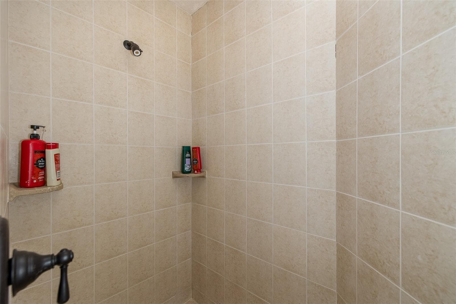 Pool shower garage level - 3020 SHEPPARDS CROOK CT, HOLIDAY