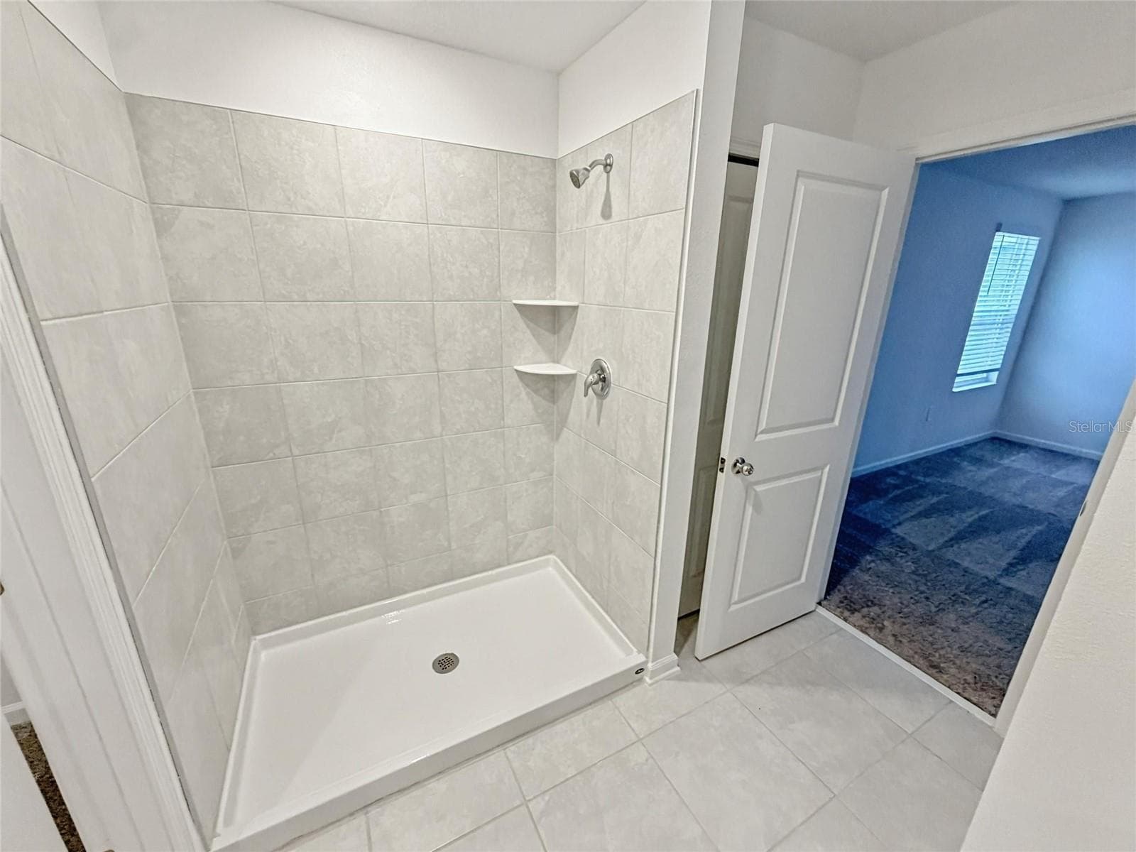Primary Bath - 809 TIMBERLAND DR, EAGLE LAKE