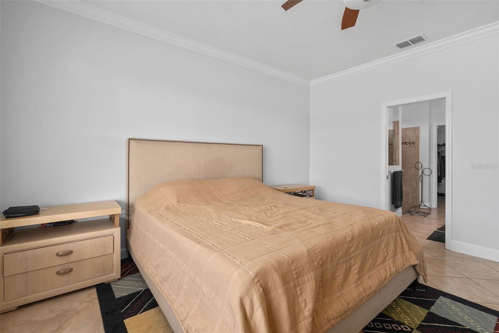 Primary Suite - 30115 KLADRUBY PT, MOUNT DORA