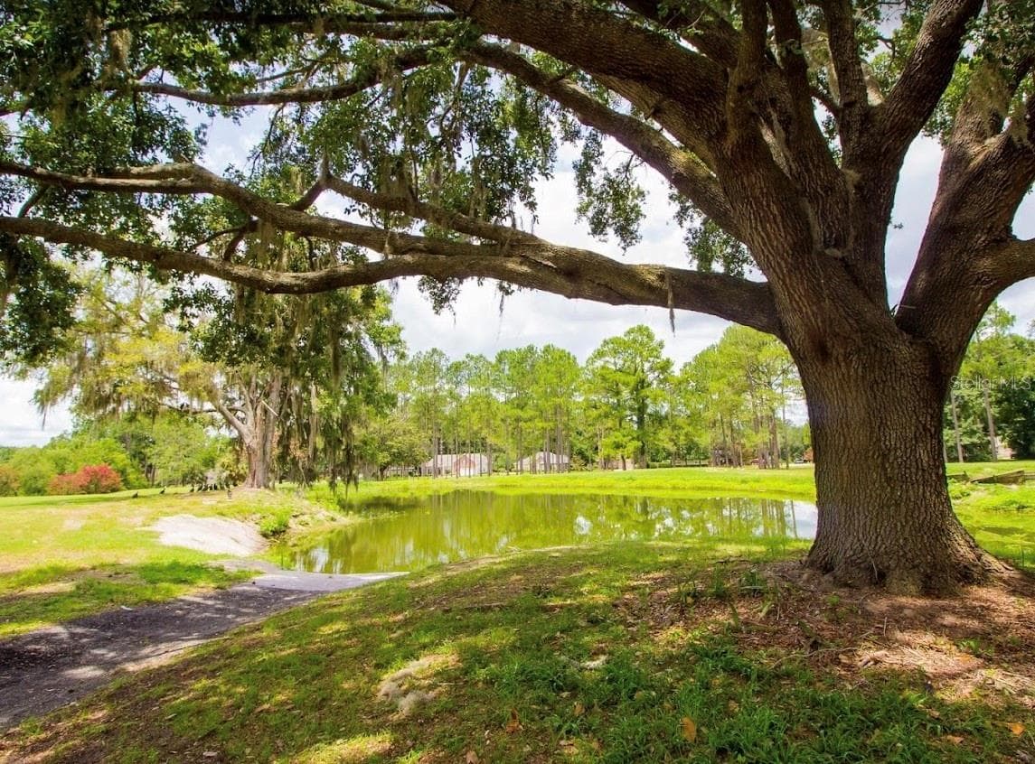 Creeks 19th - 16780 NW 178TH TER, ALACHUA